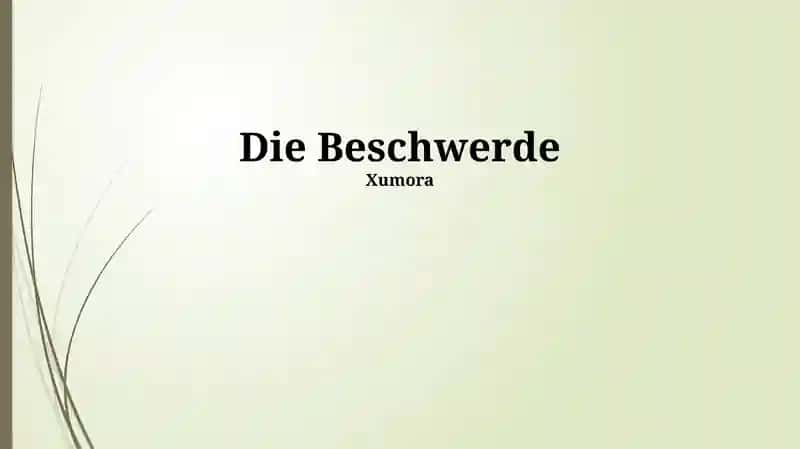 Die Beschwerde 1