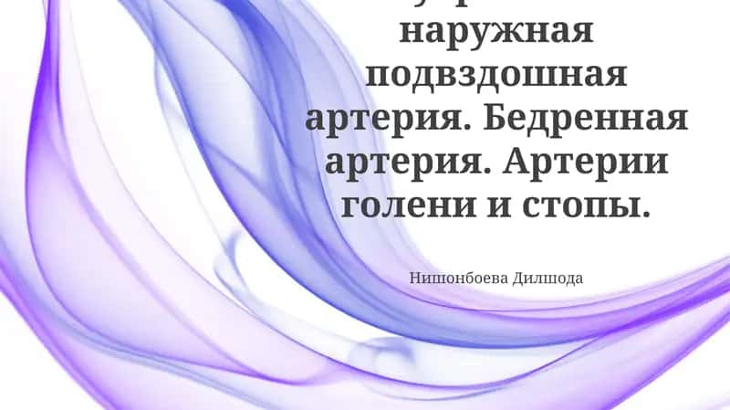 Бедренная артерия, Внутренняя и наружная подвздошные артерии, Артерии голени и стопы 1