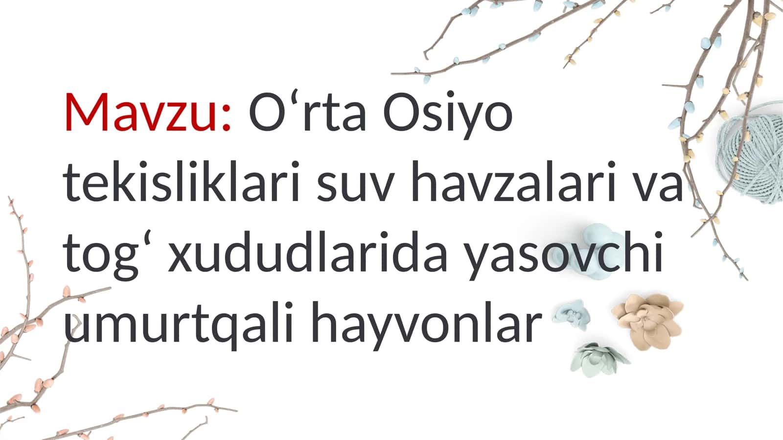 Baliqlar sinfi 1