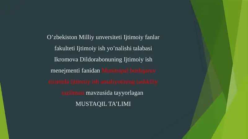 Munitsipal boshqaruv tizimida ijtimoiy ish amaliyotining tashkiliy tuzilmasi 1