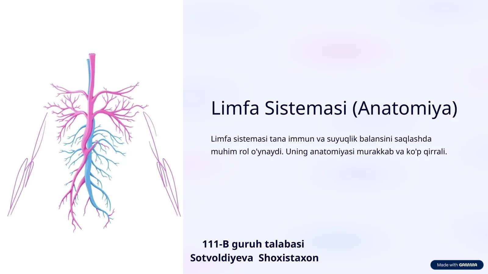 Limfa Sistemasi (Anatomiya) 1