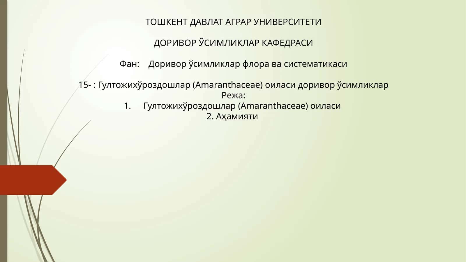 Гултожихўроздошлар (Amaranthaceae) оиласи 1