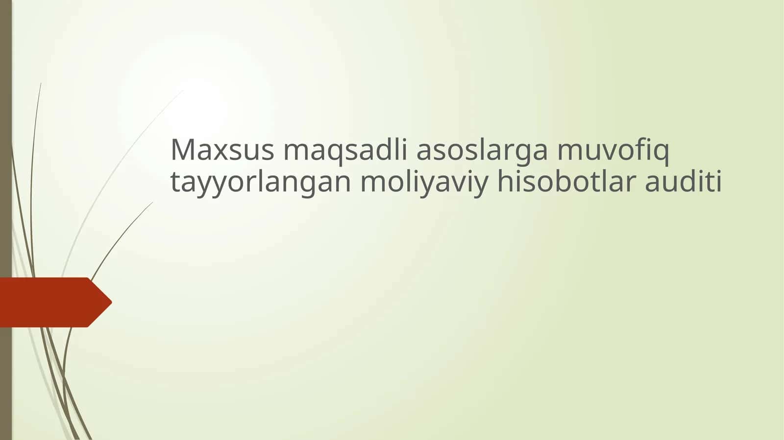 Moliyaviy hisobotlar audit 1