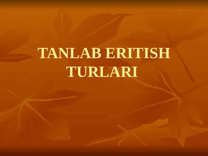TANLAB ERITISH TURLARI 1