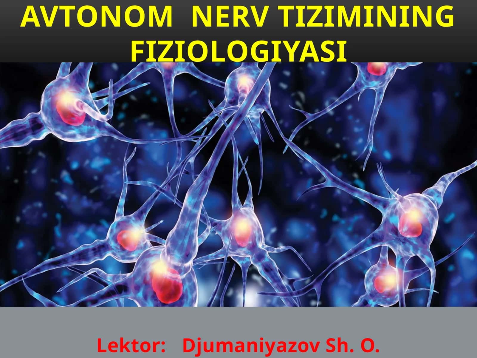 AVTONOMNERV TIZIMINING FIZIOLOGIYASI 1