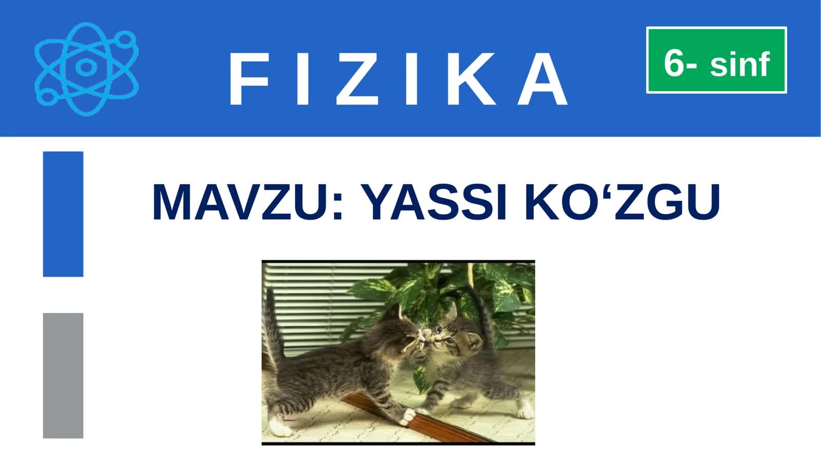 F I Z I K A 1