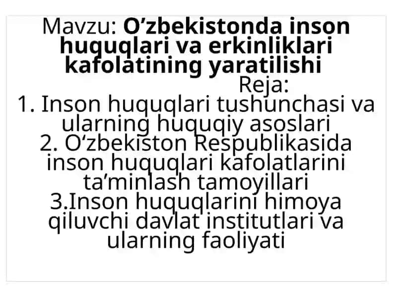 O’zbekistonda inson huquqlari va erkinliklari kafolatining yaratilishi
