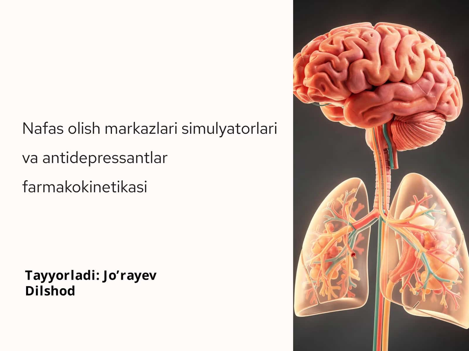 Nafas olish markazlari va Antidepressantlar Farmakokinetikasi 1