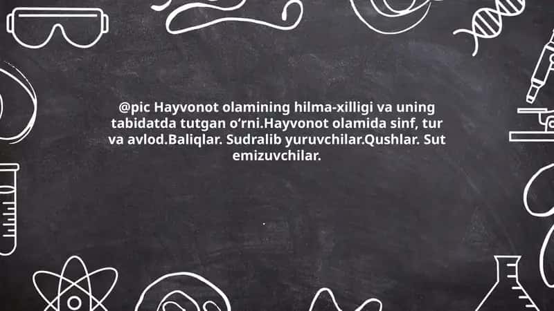 Hayvonot olamining xilma-xilligi 1