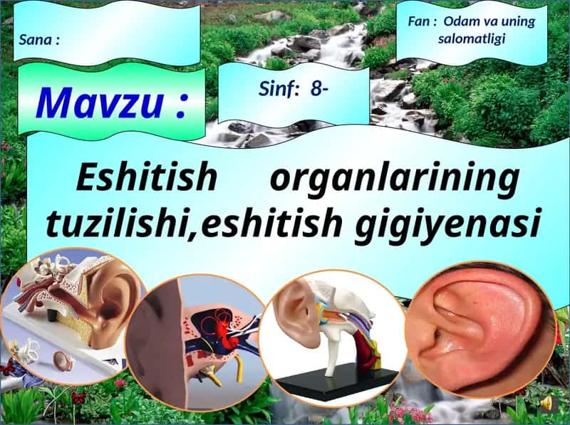 Eshitish  organlarining tuzilishi,eshitish gigiyenasi 1