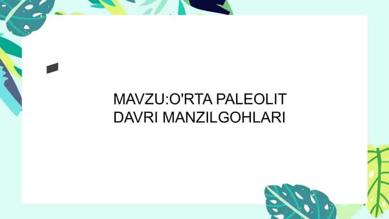 O'RTAPALEOLITDAVRIMANZILGOHLARI 1