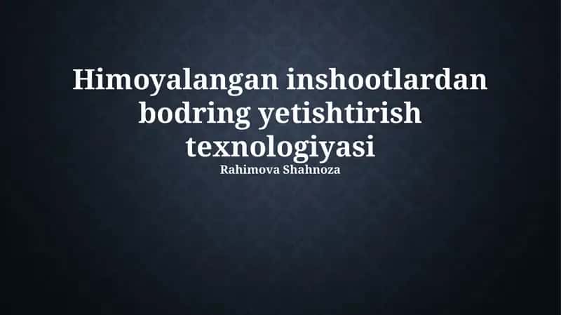 Himoyalangan inshootlardan bodring yetishtirish texnologiyasi 1