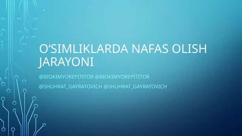 O‘simliklarda Nafas olish jarayoni 1