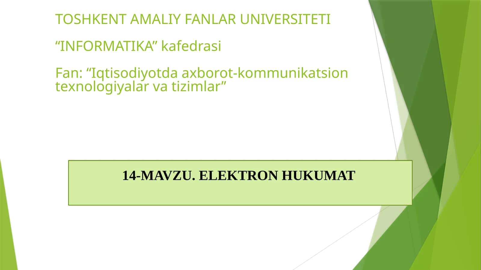 ELEKTRONHUKUMAT 1