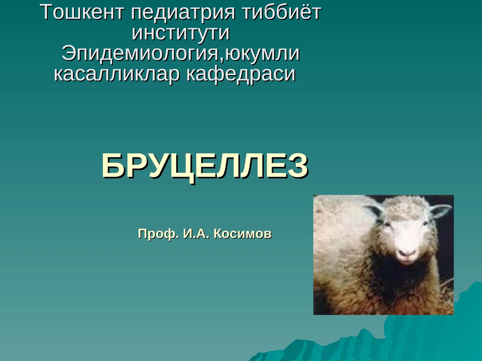 БРУЦЕЛЛЕЗ 1