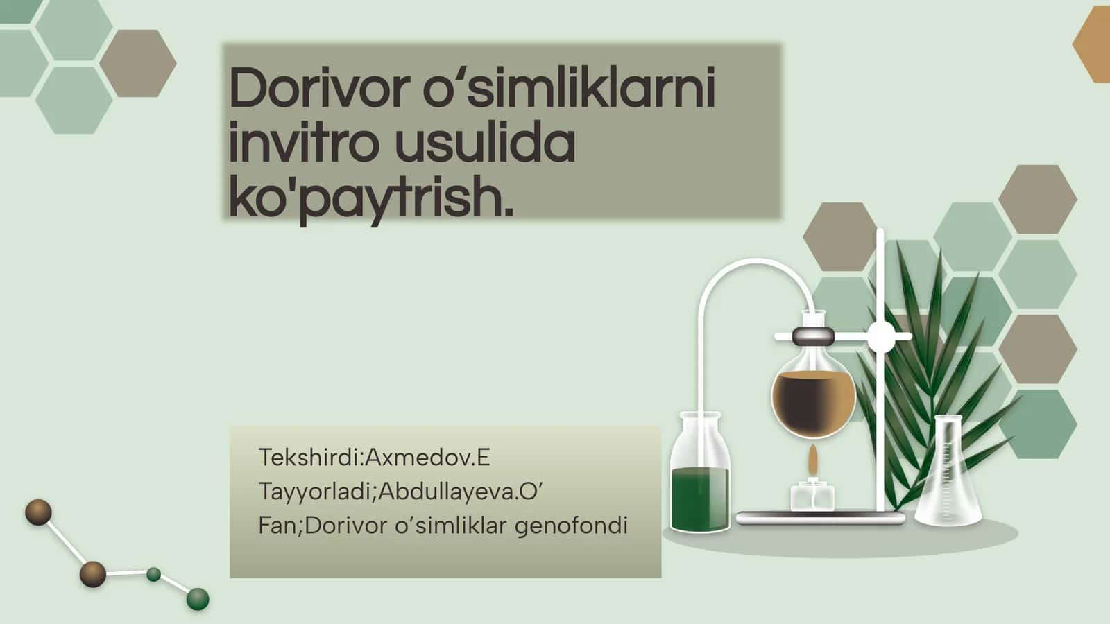 Dorivor o'simliklarni invitro usulida ko'paytirish 1