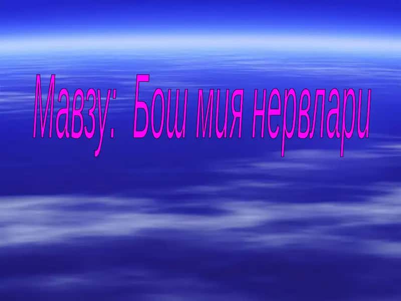 Бош мия нервлари 1