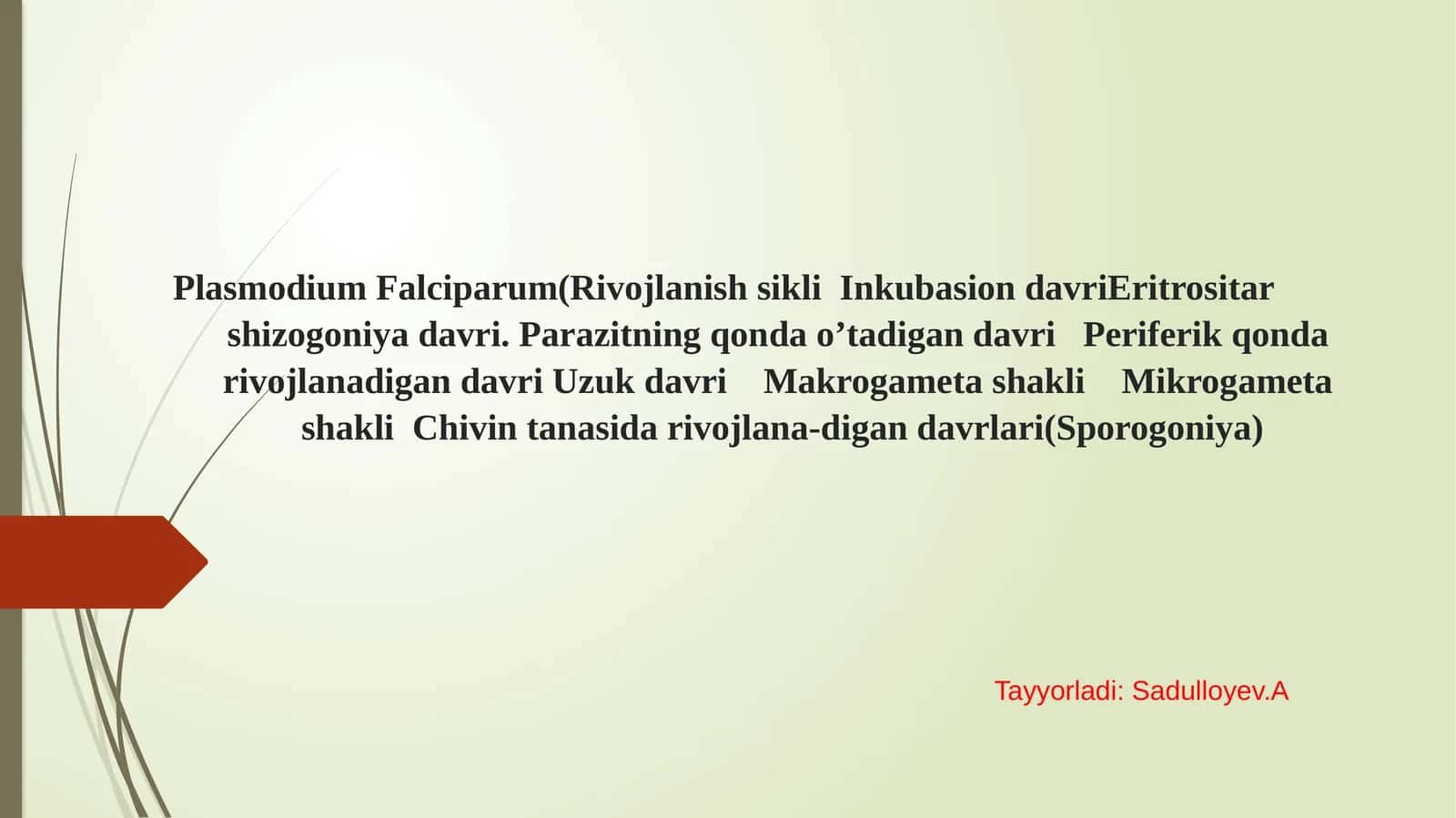 Plasmodium Falciparum(Rivojlanish sikli Inkubasion davriEritrositar.pptx 1