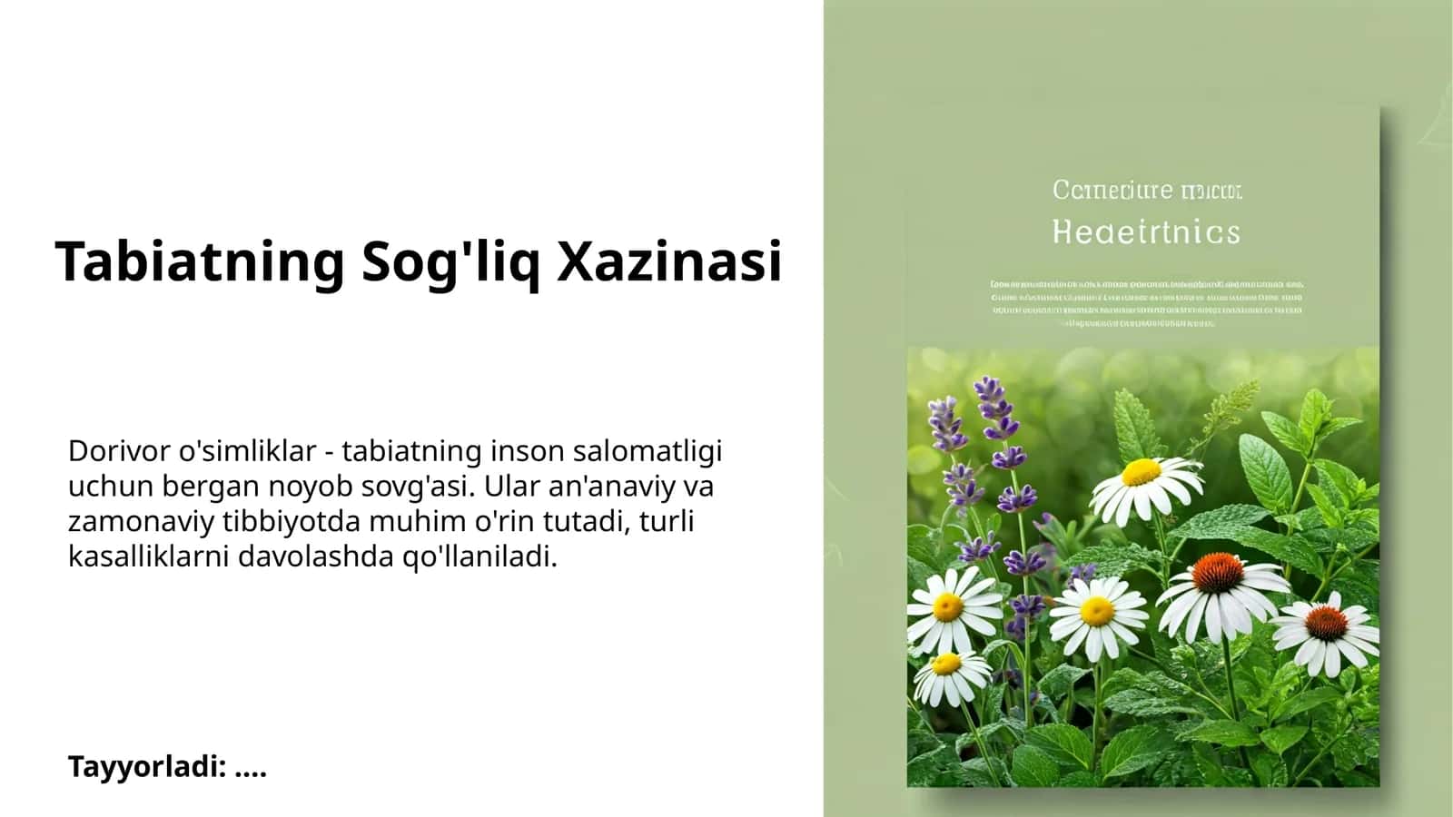 Tabiatning Sog'liq Xazinasi 1