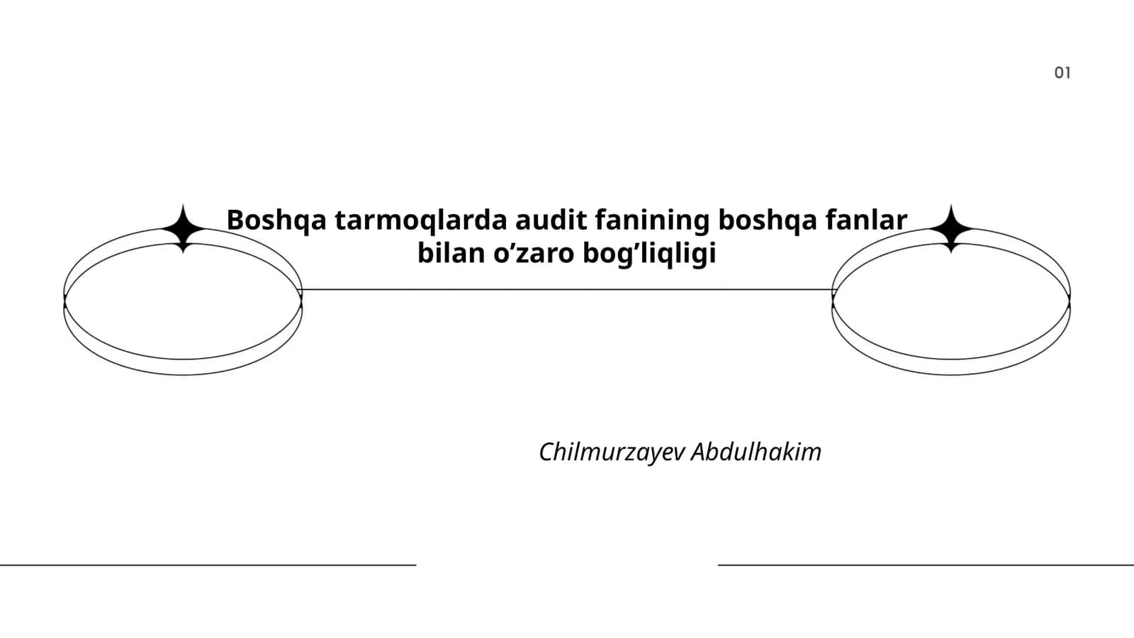 Audit va buxgalteriya hisobi 1