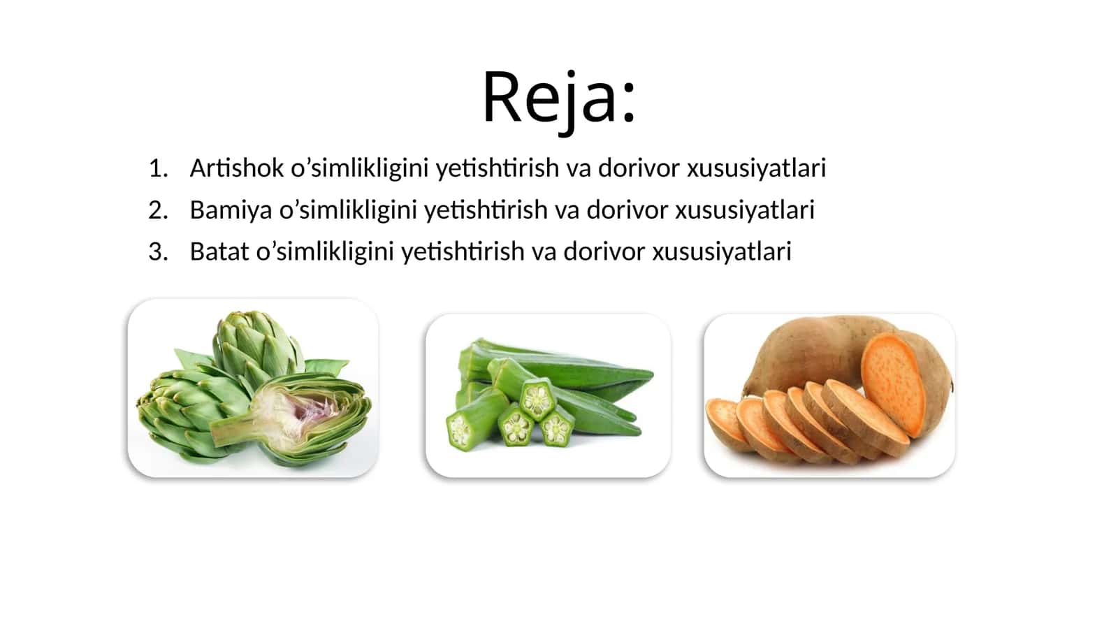 Artishok, Bamiya, Batat o’simliklarini yetishtirish tartibi va dorivor xususiyatlari 1