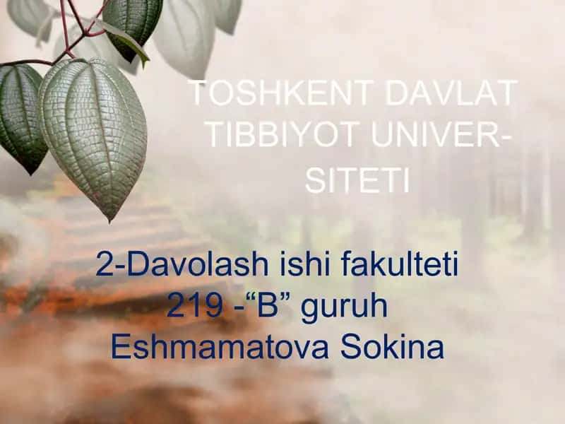 Shaxsiy himoya vositalari. Maxsus himoya vositalari 1