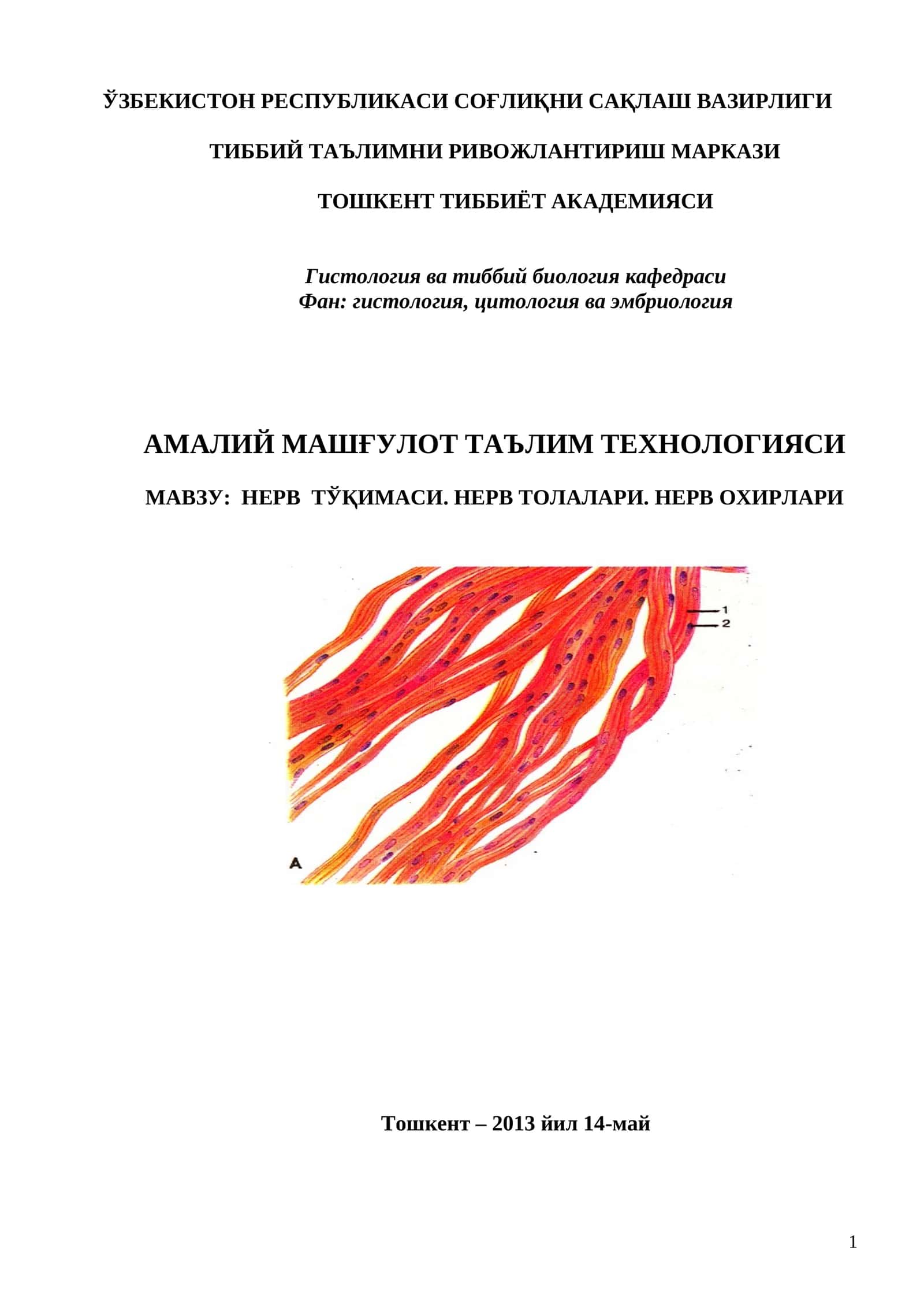 НЕРВ ТЎҚИМАСИ. НЕРВ ТОЛАЛАРИ. НЕРВ ОХИРЛАРИ 1