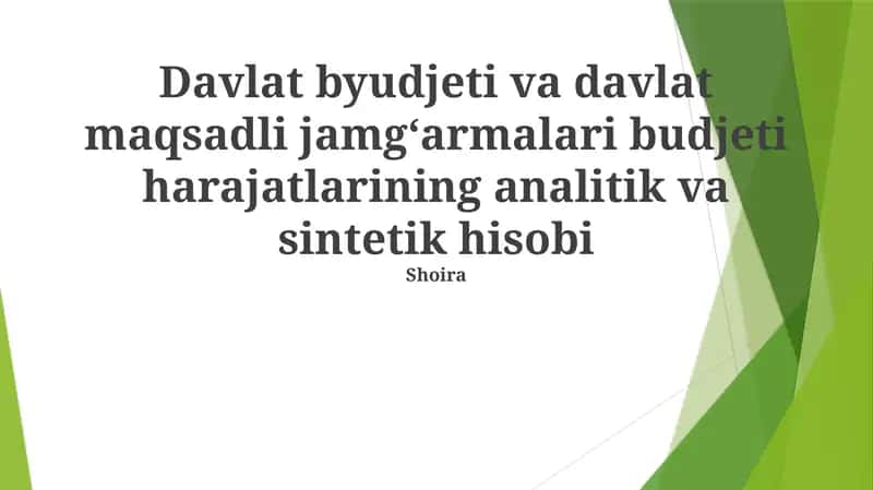 Davlat byudjeti va davlat maqsadli jamgʻarmalari budjeti harajatlarining analitik va sintetik hisobi 1