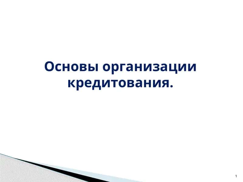 Основы организации кредитования 1