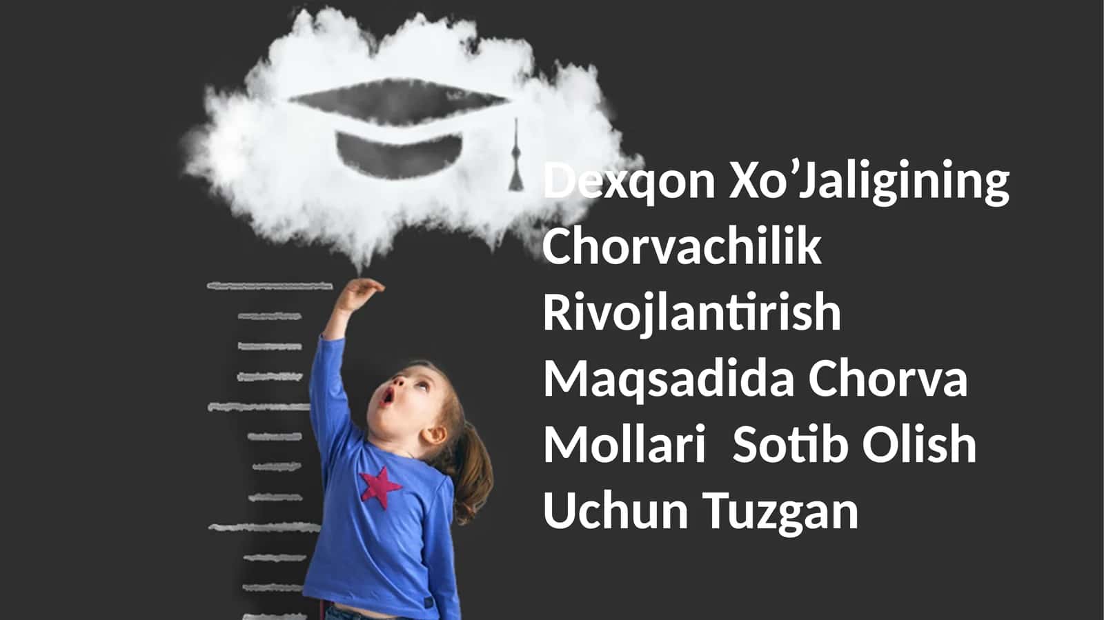 Dexqon Xo’Jaligining Chorvachilik Rivojlantirish Maqsadida Chorva Mollari Sotib Olish Uchun Tuzgan Loyihaga umumiy nuqtai 1
