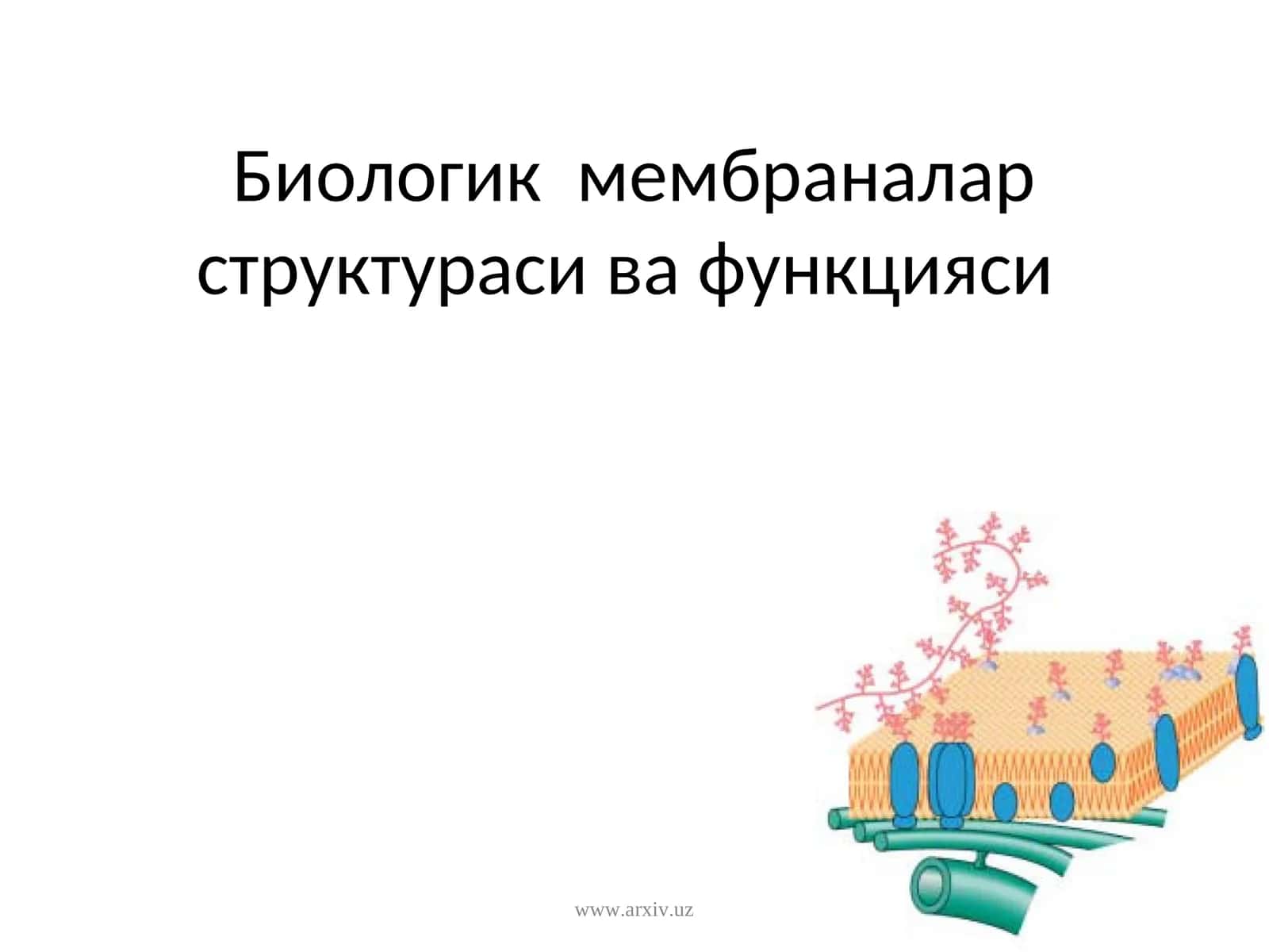 Биологик мембраналарструктураси ва функцияси 1