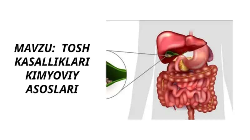 TOSH KASALLIKLARI KIMYOVIY ASOSLARI 1