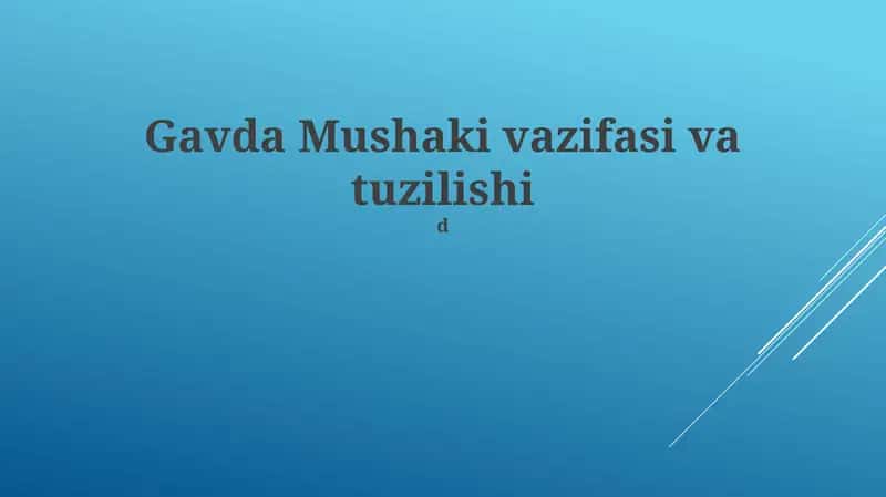 Gavda Mushaki vazifasi va tuzilishi 1