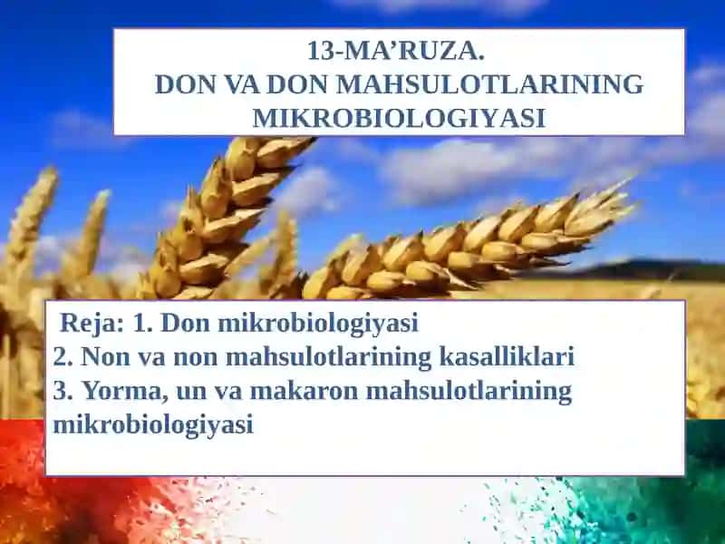 13-MA’RUZA.DON VA DON MAHSULOTLARININGMIKROBIOLOGIYASI
