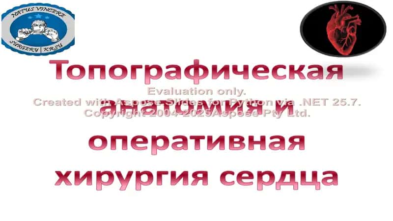 Топографическая анатомия и оперативная хирургия сердца 1