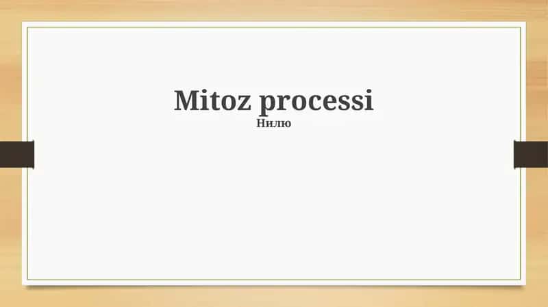 Mitoz processi 1