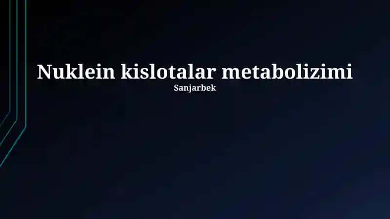 Nuklein kislotalar metabolizimi