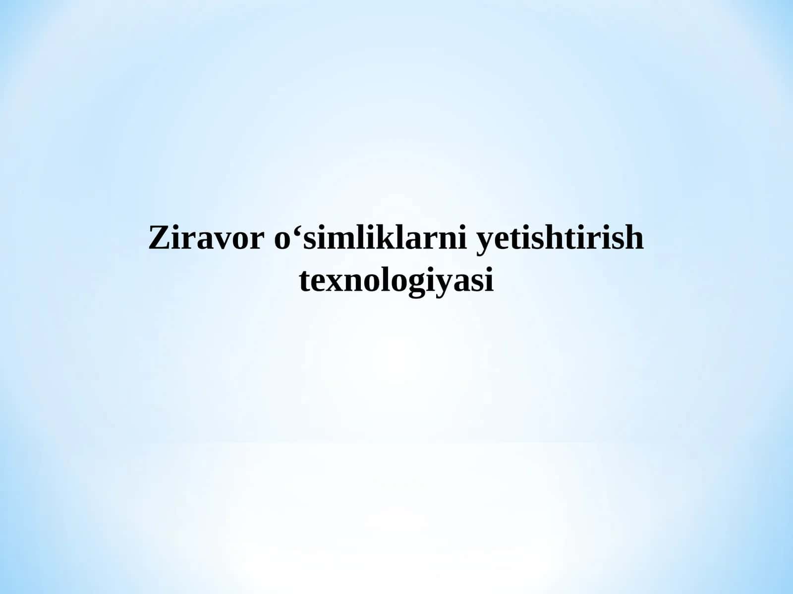 Ekma za'faron o‘simliklarini yetishtirish texnologiyasi 1