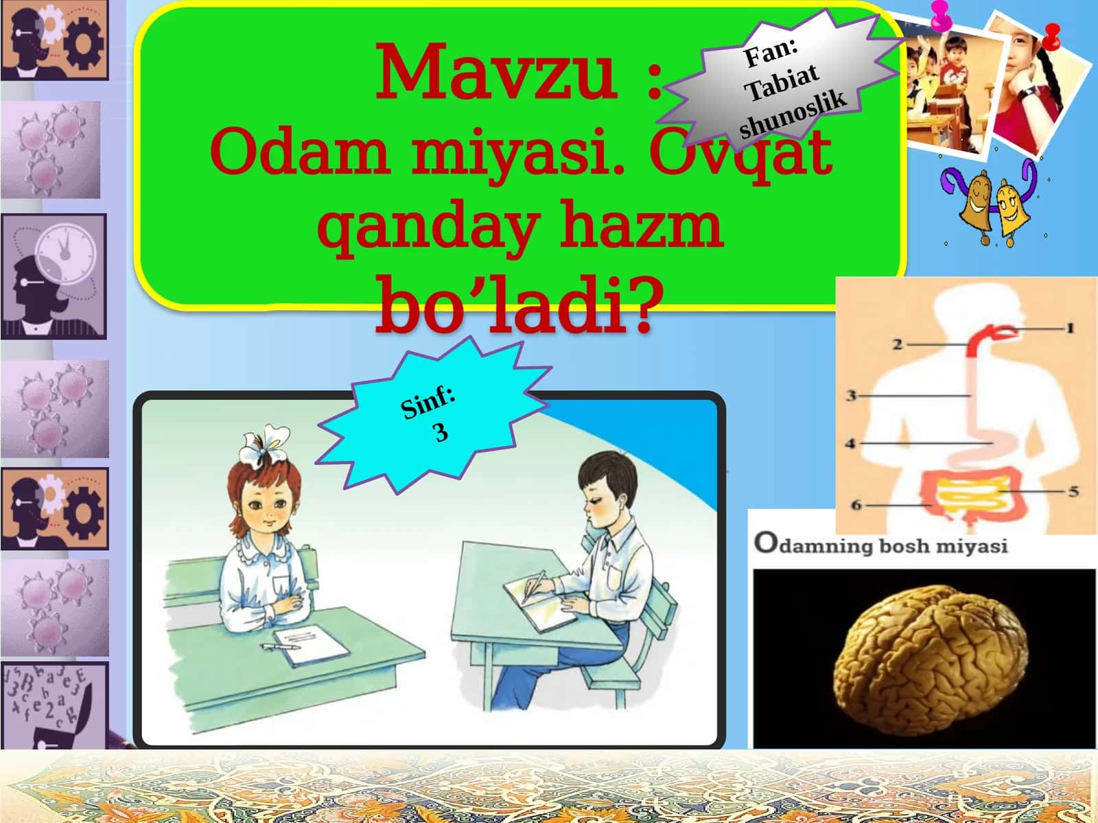 3-sinf Tabiiy Fan (Science) Odam miyasi. Ovqat qanday hazm bo'ladi 1