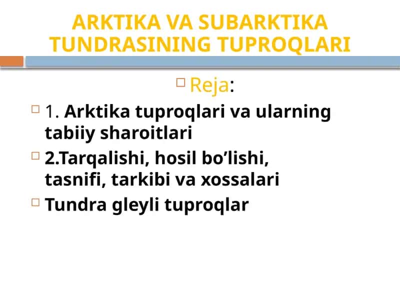 ARKTIKA VASUBARKTIKATUNDRASININGTUPROQLARI 1