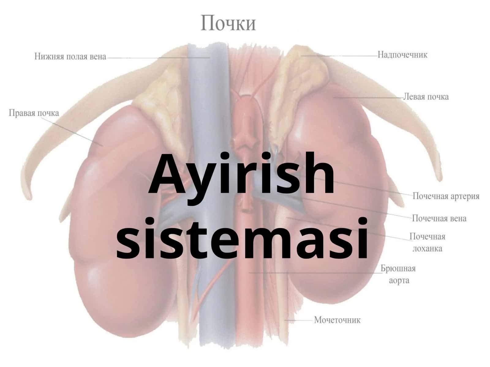 Ayirish sistemasi 1