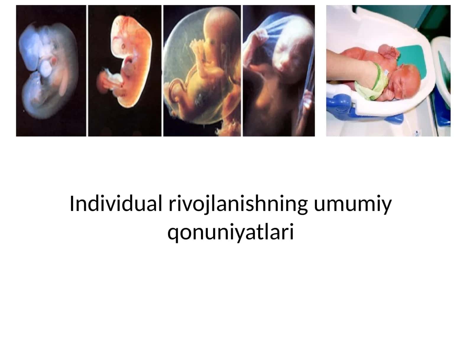 Individual rivojlanishning umumiy qonuniyatlari 1