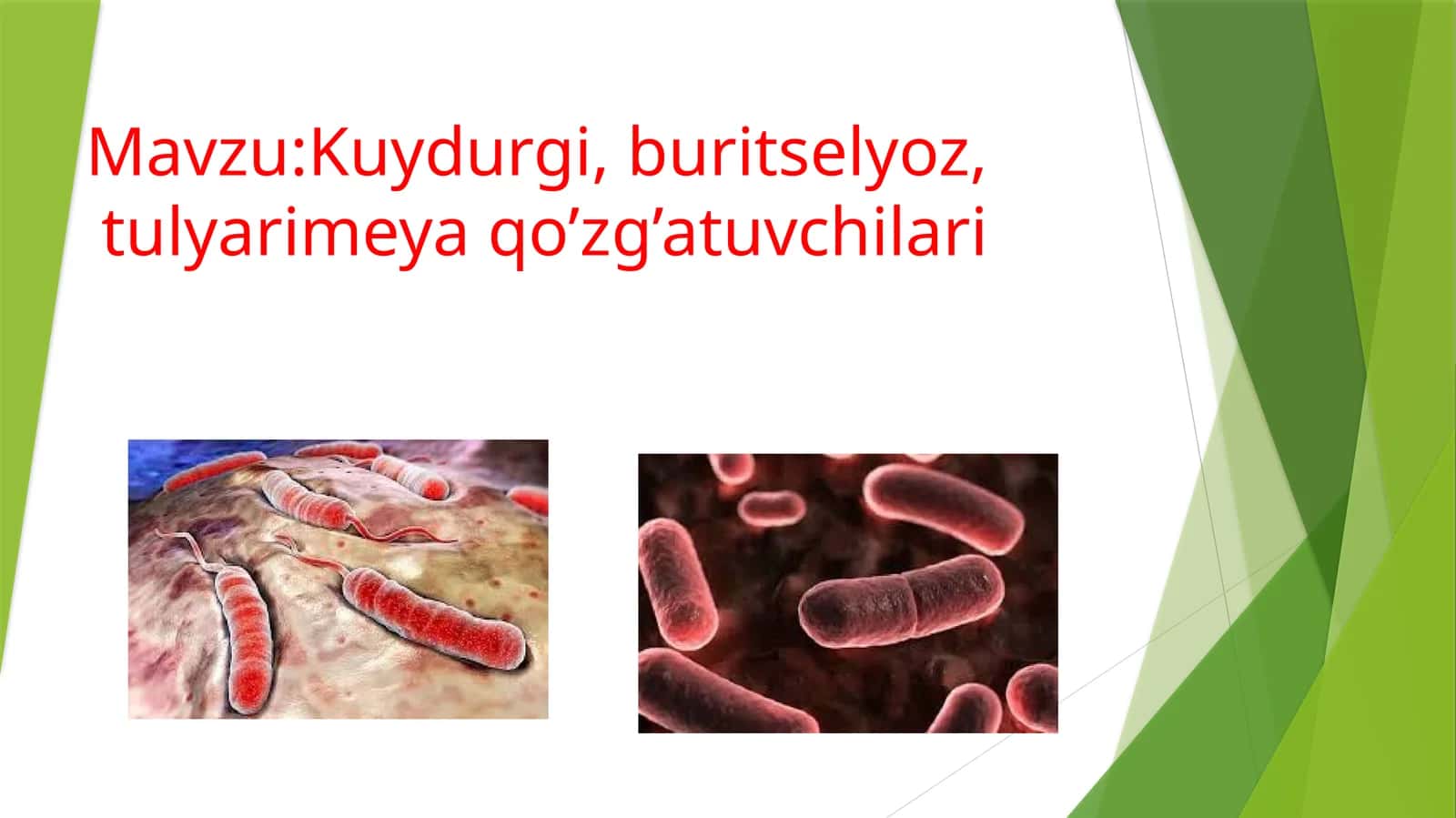 Kuydurgi, buritselyoz, tulyarimeya qo’zg’atuvchilari 1