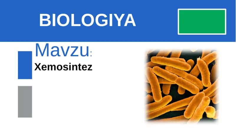 Xemosintez 1