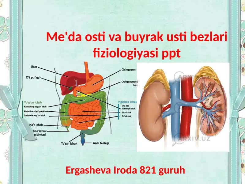 Me'da osti va buyrak usti bezlari fiziologiyasi ppt 1
