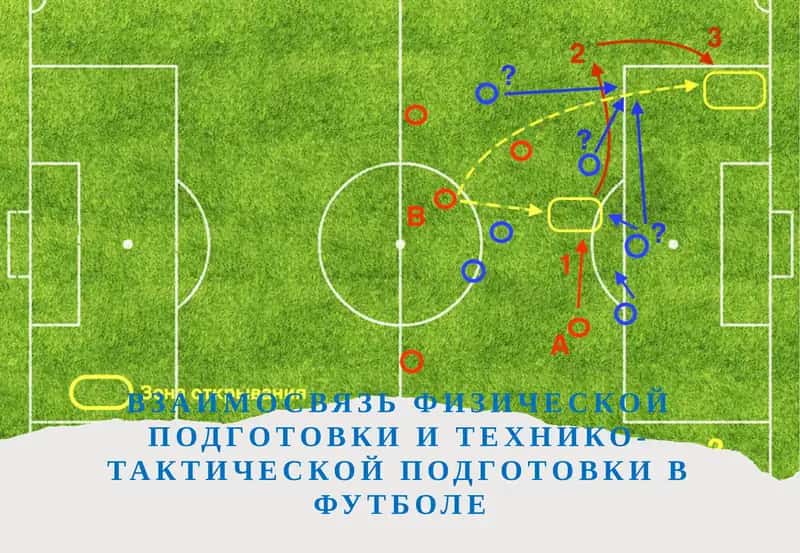 Взаимосвязь физической подготовки и технико-тактической подготовки в футболе 1