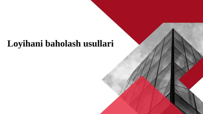 Loyihani baholash usullari 1