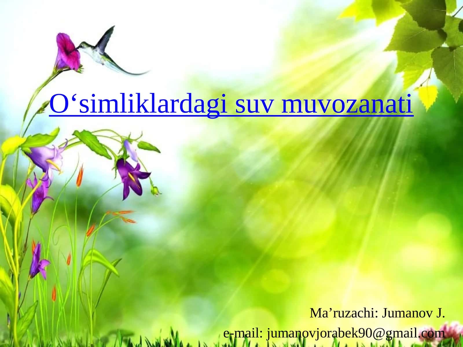 O‘simliklardagi suv muvozanati 1
