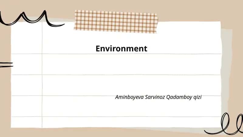 Environment 1