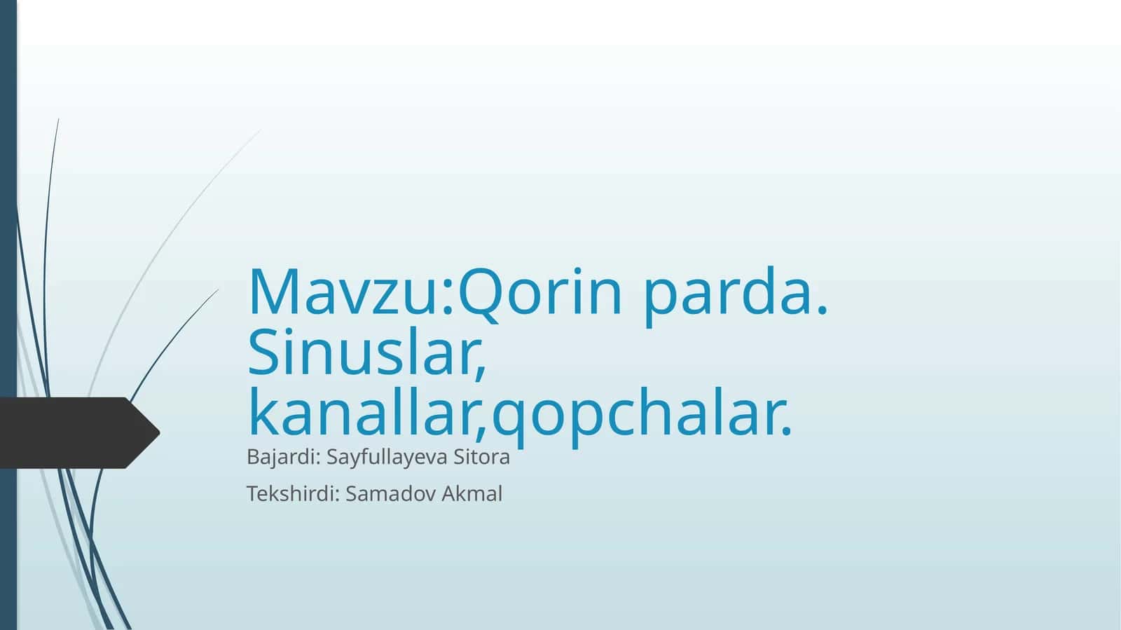 Qorin parda. Sinuslar, kanallar,qopchalar 1